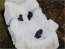 Einschlagdecke Babyschale Bio-Baumwolle grey melange 5