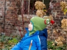 Baby und Kinder Schlupfmütze mit Zipfel Bio-Schurwolle moos 2