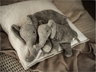 Kinder Körnerkissen Kuscheltier, Bio-Dinkelspelz (kbA), Elefant groß 4